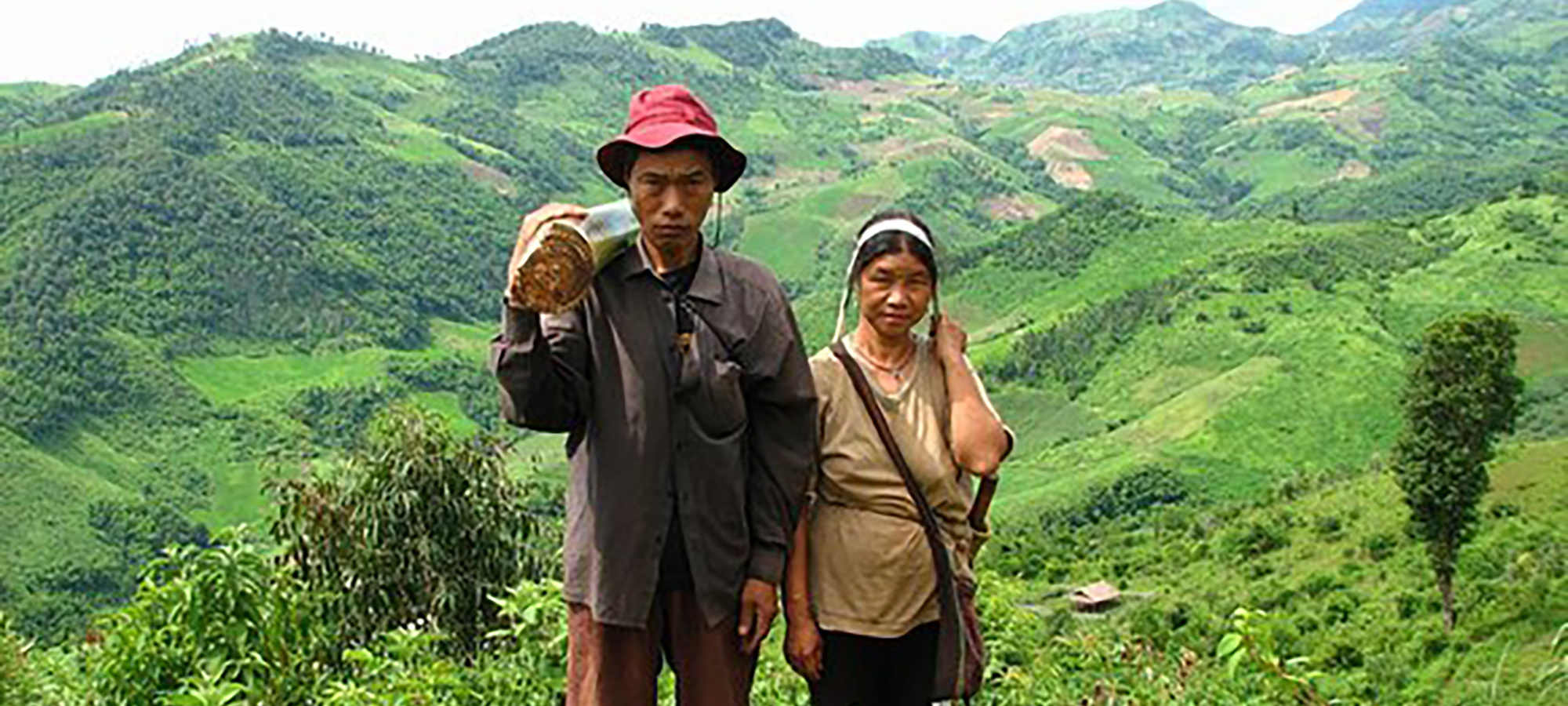 All Watched Over By Machines Of Loving Grace: Computing And The Individual